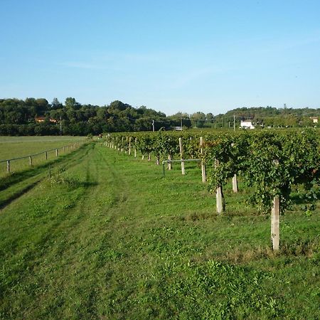 Agriturismo Lupo Bianco 몬잠바노 외부 사진