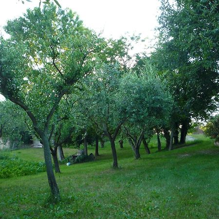 Agriturismo Lupo Bianco 몬잠바노 외부 사진