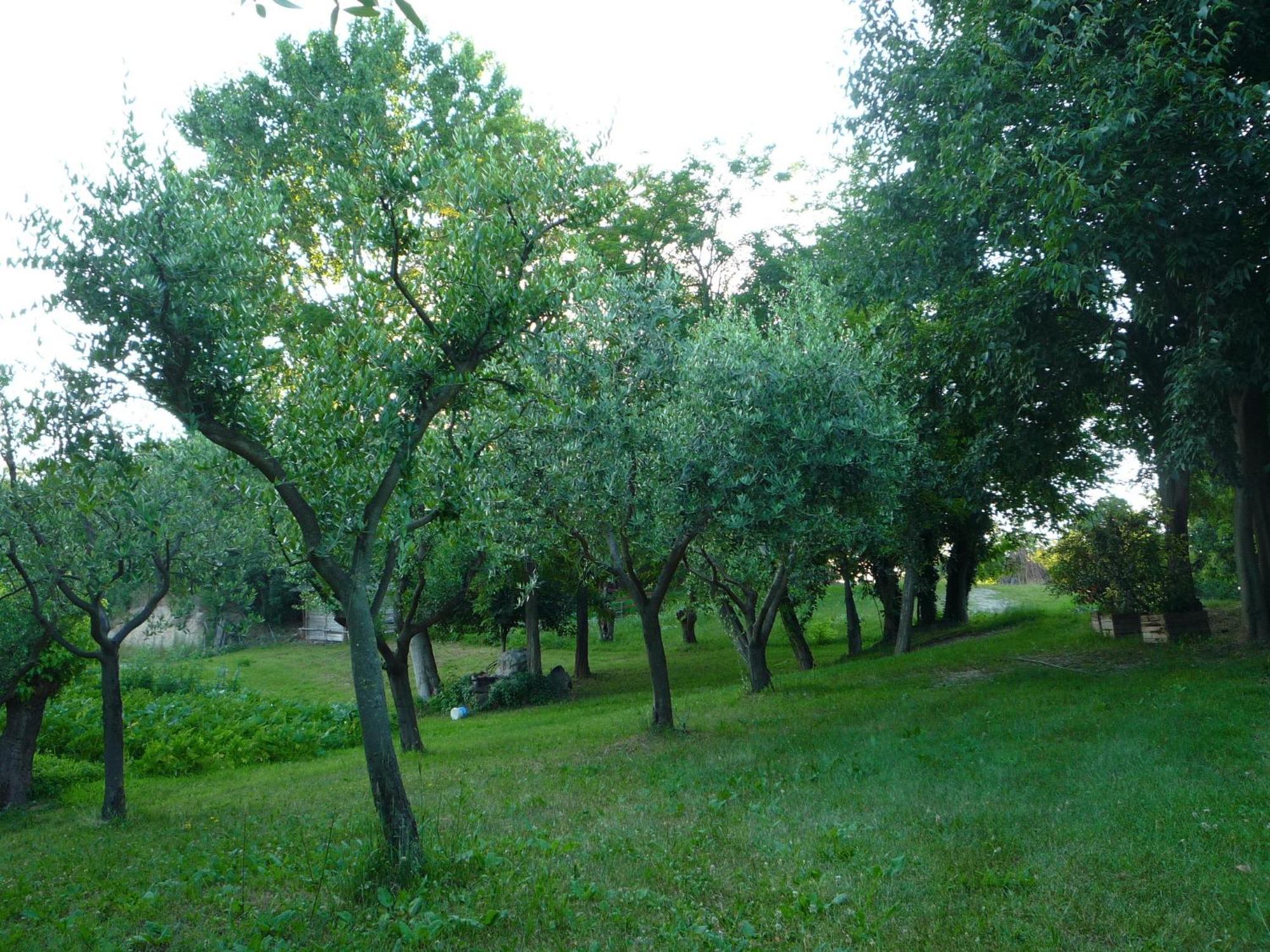 Agriturismo Lupo Bianco 몬잠바노 외부 사진