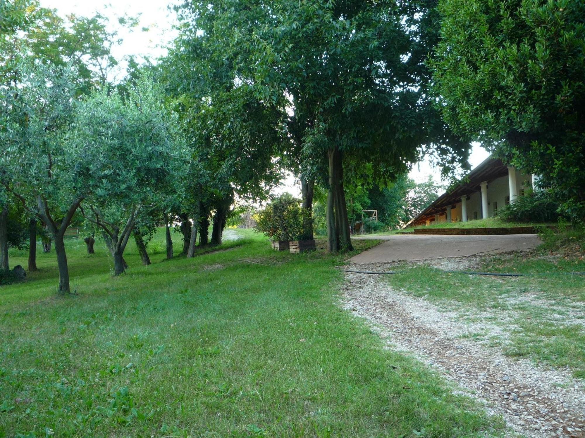 Agriturismo Lupo Bianco 몬잠바노 외부 사진